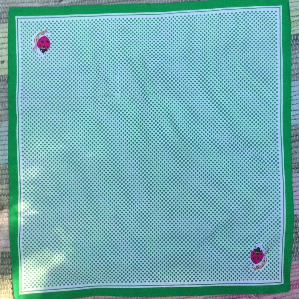 Vintage Ladybug Green/White Polka Dot Scarf 🐞